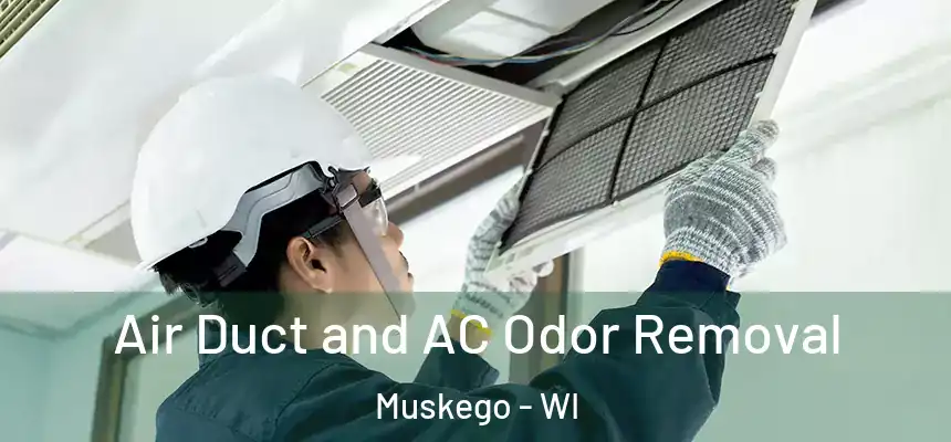 Air Duct and AC Odor Removal Muskego - WI