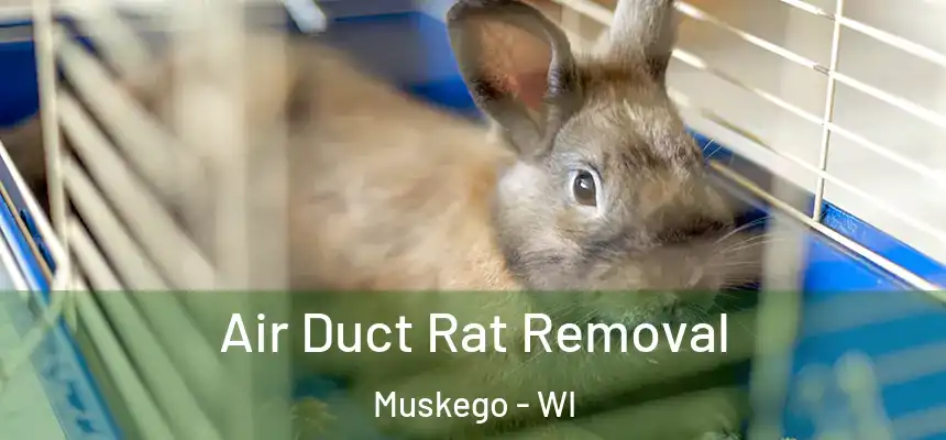  Air Duct Rat Removal Muskego - WI