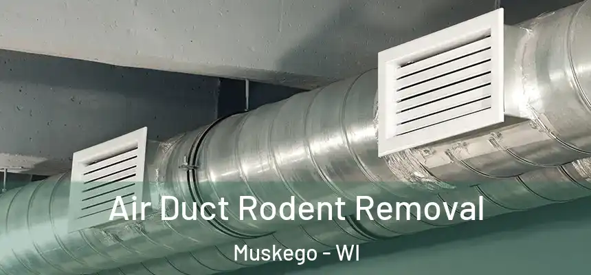 Air Duct Rodent Removal Muskego - WI