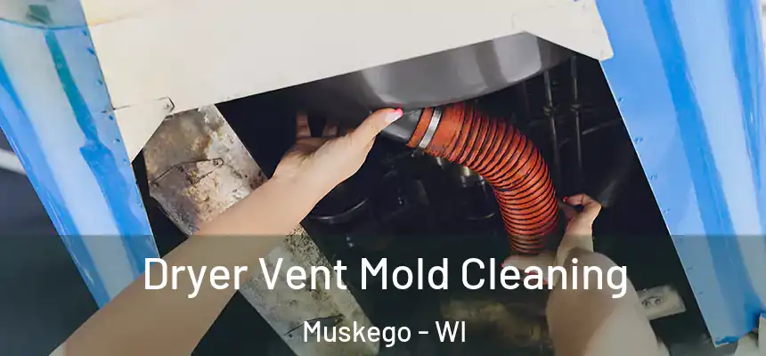 Dryer Vent Mold Cleaning Muskego - WI