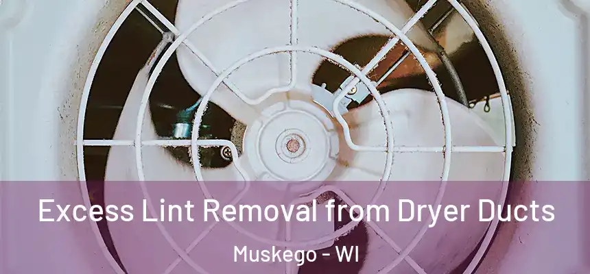  Excess Lint Removal from Dryer Ducts Muskego - WI