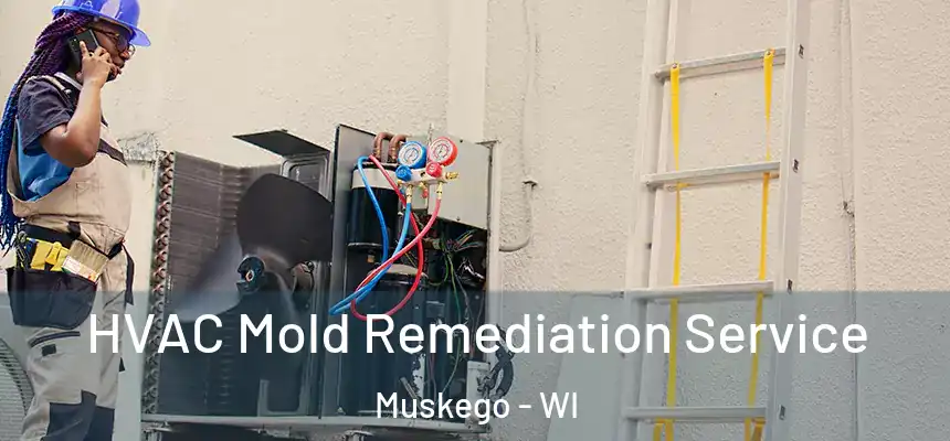  HVAC Mold Remediation Service Muskego - WI
