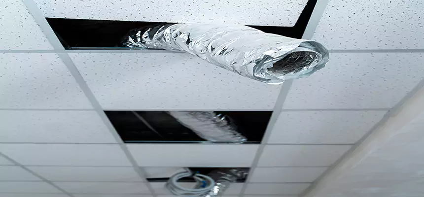 Our Air Duct Pet Hair Removal Services in Muskego, WI