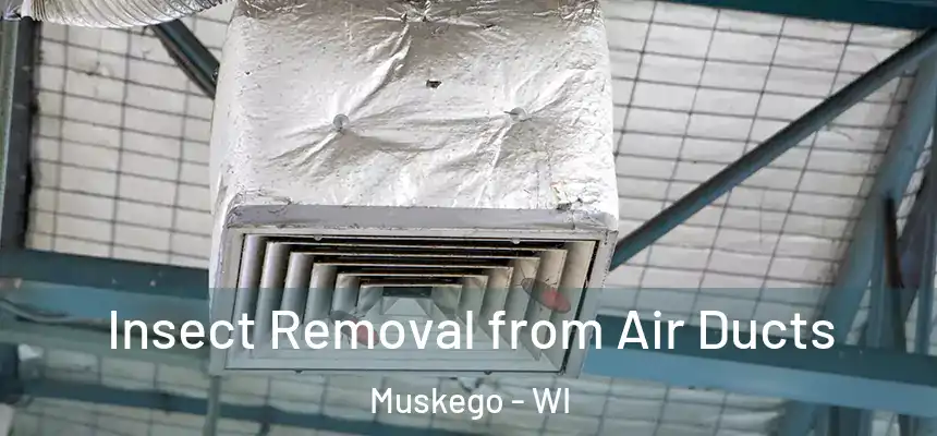  Insect Removal from Air Ducts Muskego - WI