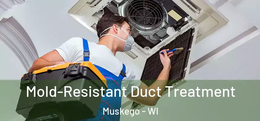  Mold-Resistant Duct Treatment Muskego - WI