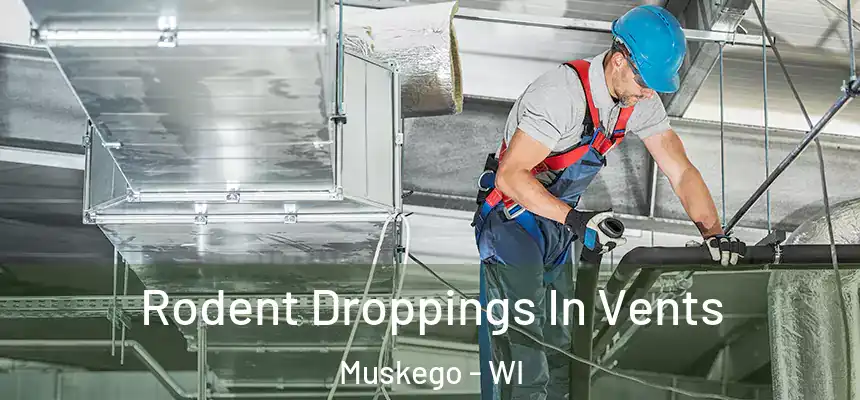  Rodent Droppings In Vents Muskego - WI