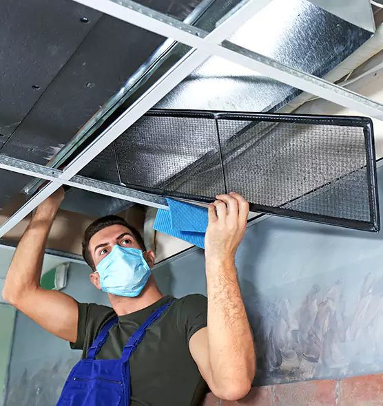 About Air Duct Bacteria Removal in Muskego
