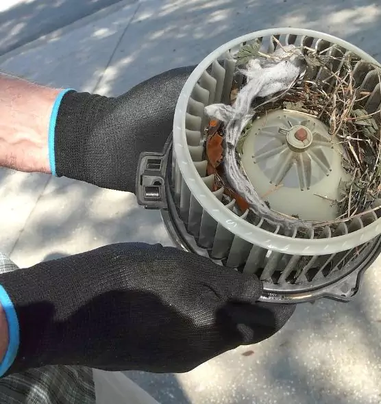 About Air Duct Mice Removal in Muskego, WI