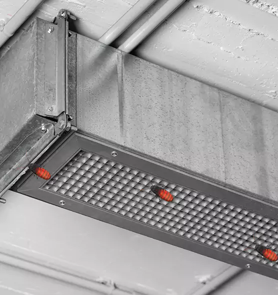 Affordable Insect Removal from Air Ducts in Muskego, WI