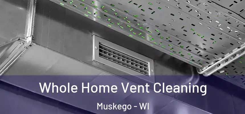  Whole Home Vent Cleaning Muskego - WI