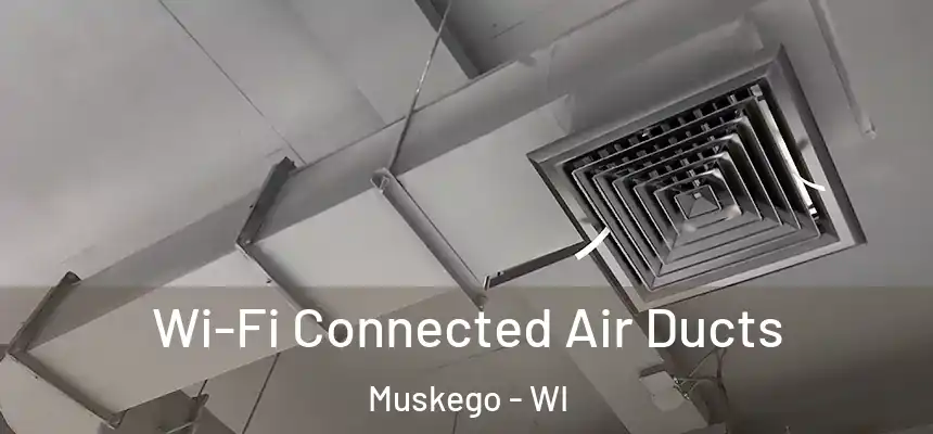  Wi-Fi Connected Air Ducts Muskego - WI